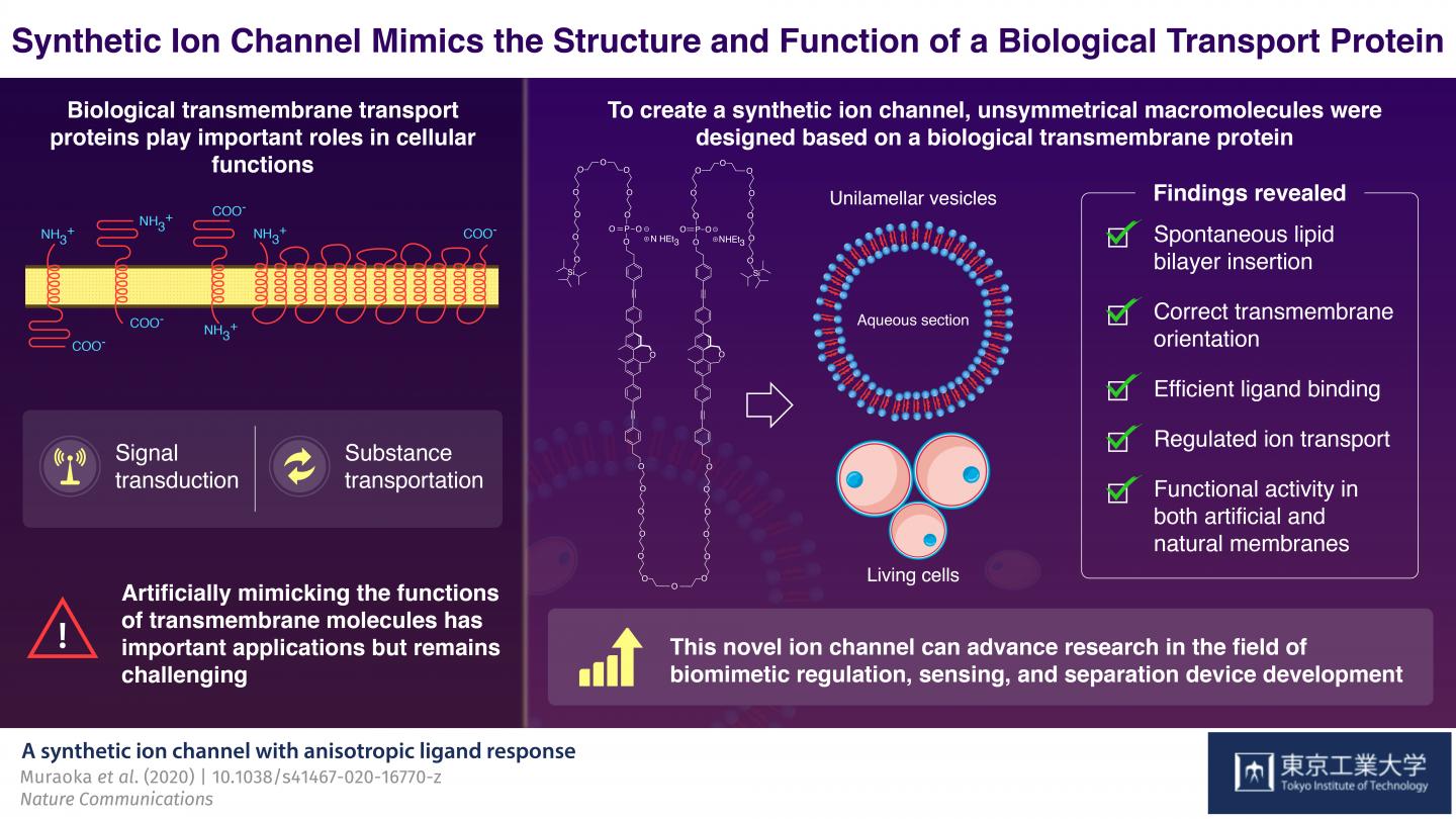 Schematic Illustration