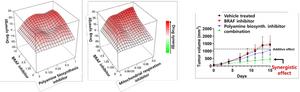 Synergistic Effect of Anticancer Drugs