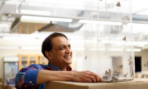 Nipam Patel, Director of the Marine Biological Laboratory, Woods Hole