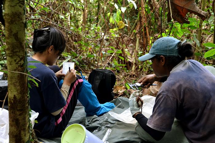 Small Mammal Trapping