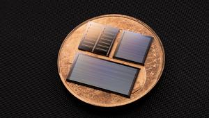 Lithium tantalate photonic integrated circuits.