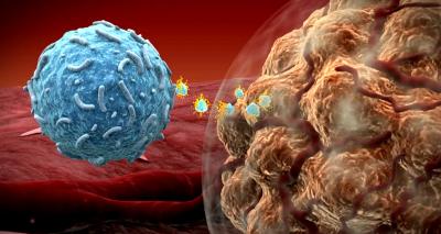 Keytruda (3 of 3) [IMAGE] | EurekAlert! Science News Releases