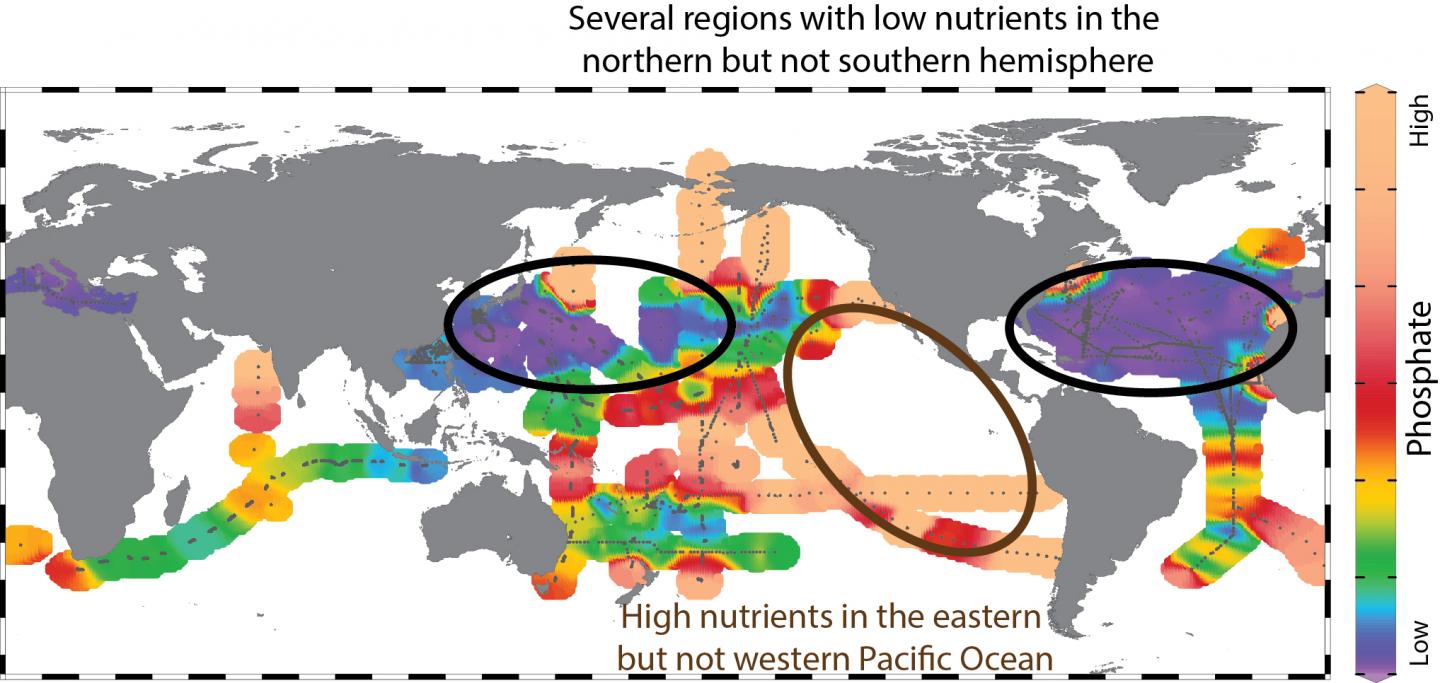 Current Models May Overestimate Climate Change's Impact on Global Ocean Phosphate Distribution (1 of 1)