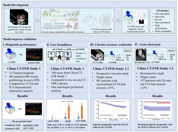 Central illustration of this 3-stage study