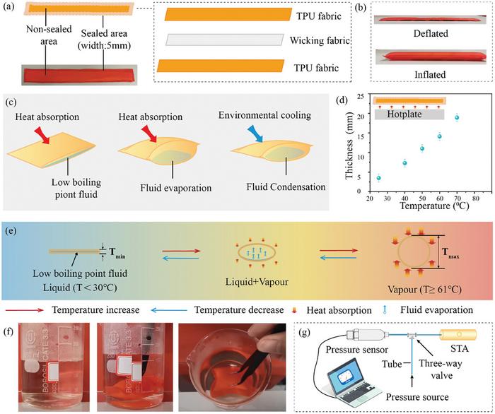 PolyU researchers invent intelligent soft robotic clothing for automatic thermal adaptation in extreme heat