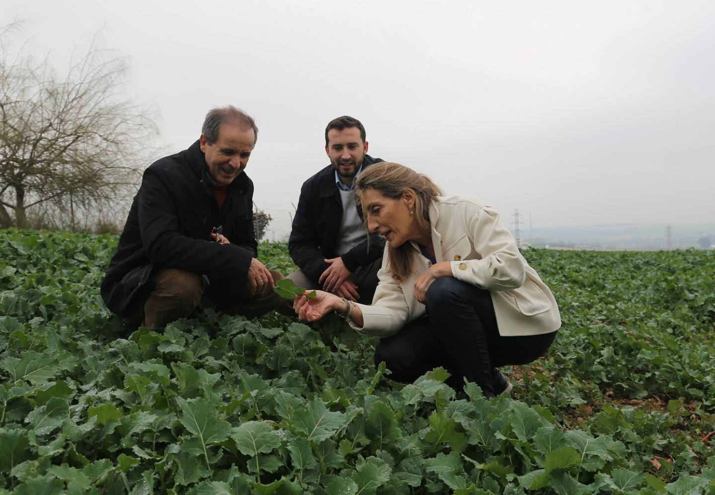 Researchers from University of Cordoba