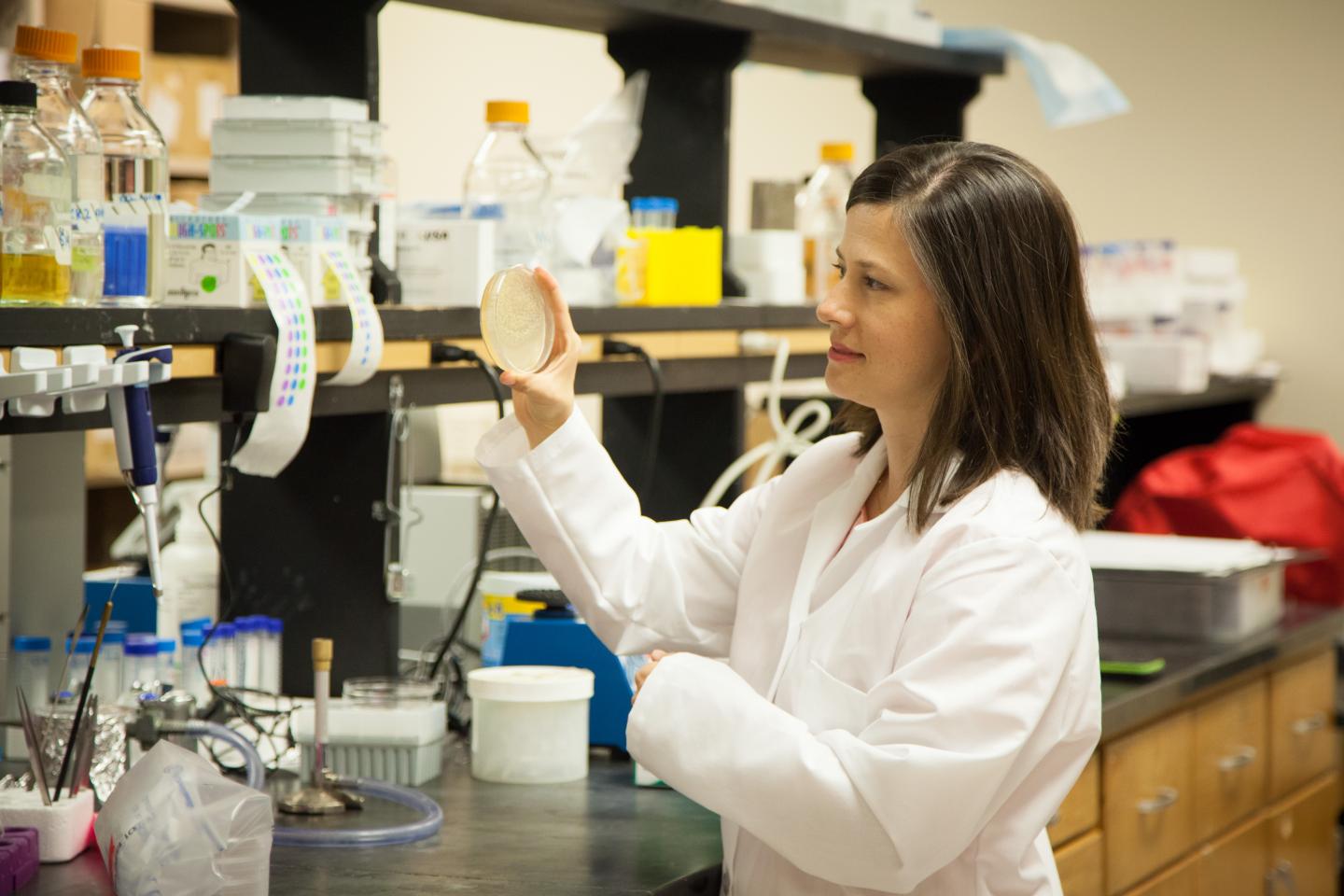 Elizabeth Ostrowski, Universit [IMAGE] | EurekAlert! Science News 