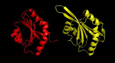 Malaria and Human ADFs