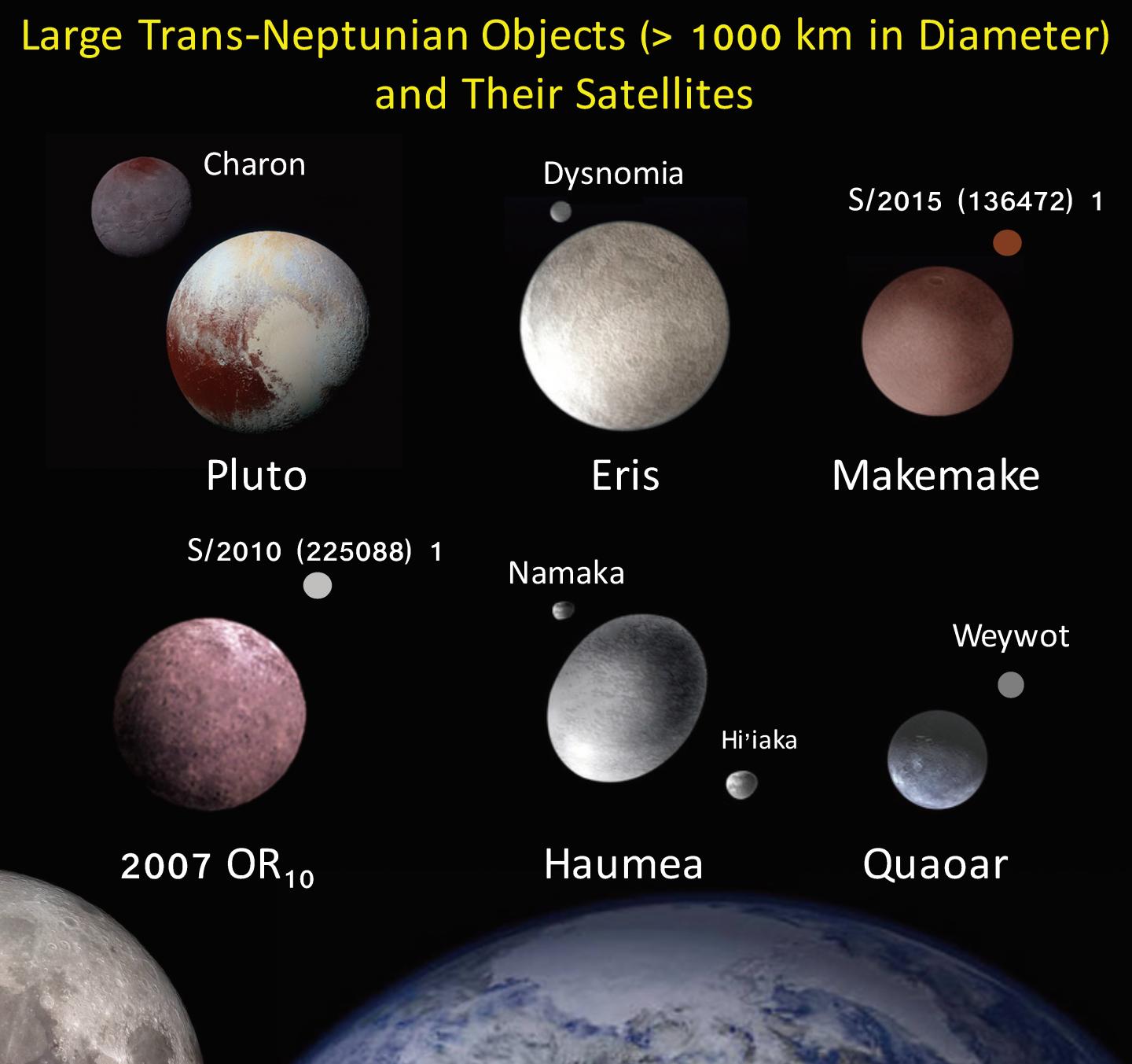 Largest TNOs with 1000 km in Diameter and their Satellite(s)