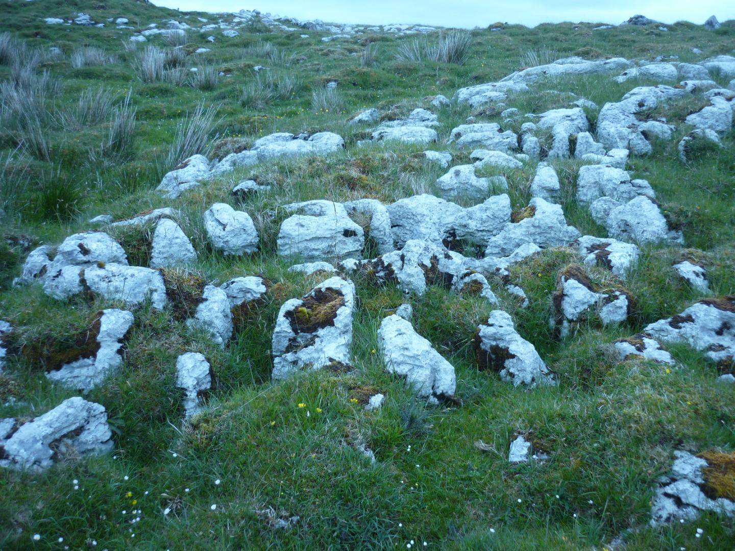 West Fermanagh scarplands