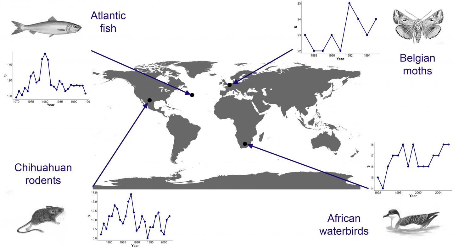 Biodiversity May Be Naturally Resilient to Moderate Human Disturbances (5 of 5)