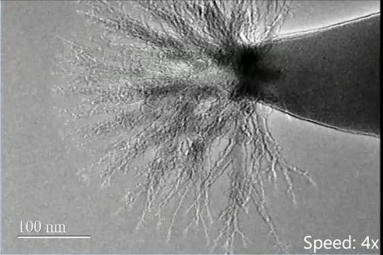 Electrospray Thruster TEM Video