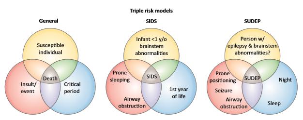 Triple Risk Models for SIDS and SUDEP (IMAGE)
