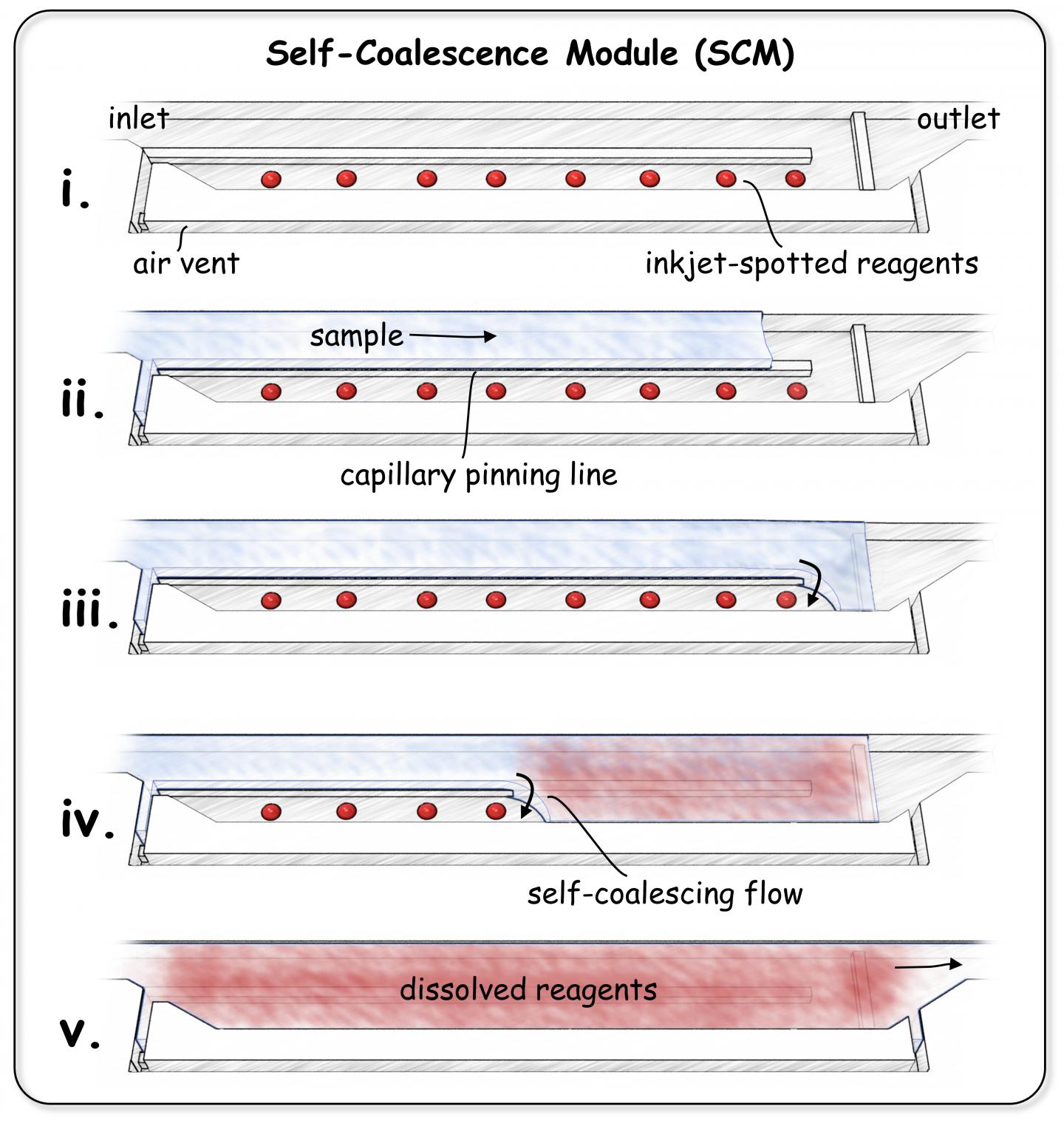 Artist's Depiction of the Process of Self-Coalescence in a Microchannel