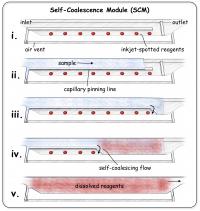 Artist's Depiction of the Process of Self-Coalescence in a Microchannel