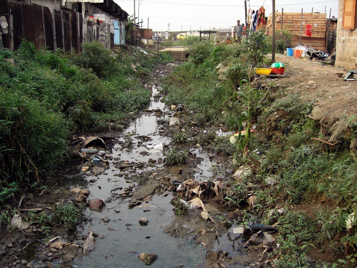 Cholera: The link between the world&#39;s major o | EurekAlert!