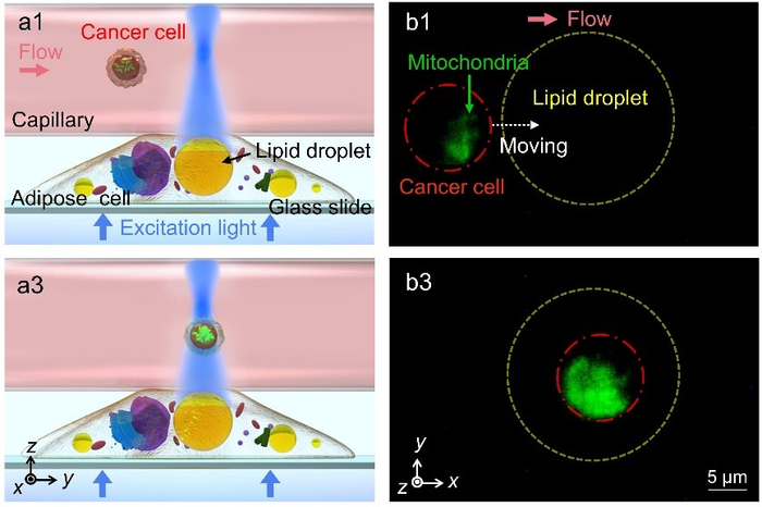 Figure 3 | Detecting extracellular signals