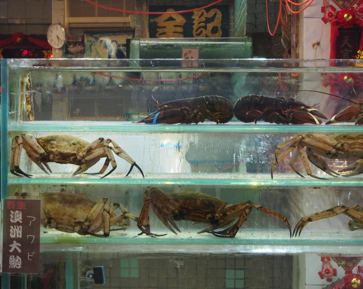 China Seafood Market