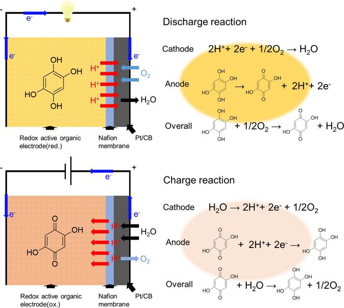 A schematic representation of the simplified cell configuration and cell reactions of the dihydroxy-benzoquinone-based solid-state air battery