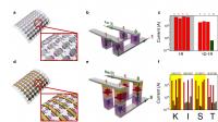 Rewritable Data Test of Fabricated Memory Cell Array