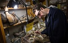 Stepan Ivantsov, National Research Tomsk State University