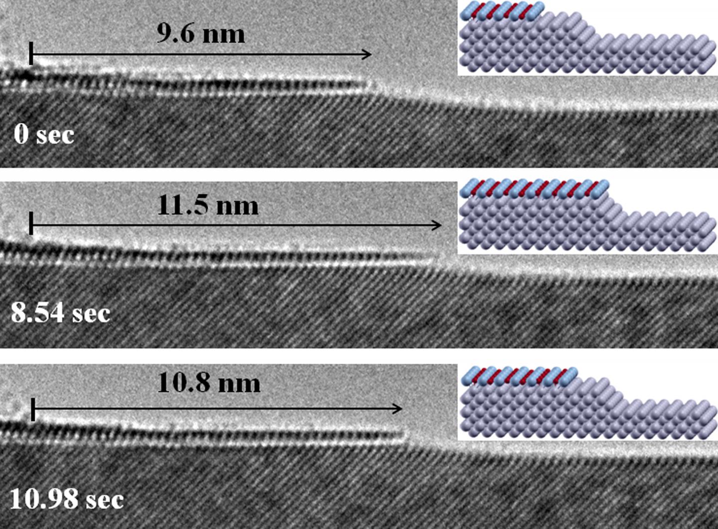 In-situ Atomic-Scale Observation