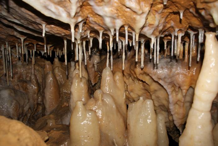 Stalagmites