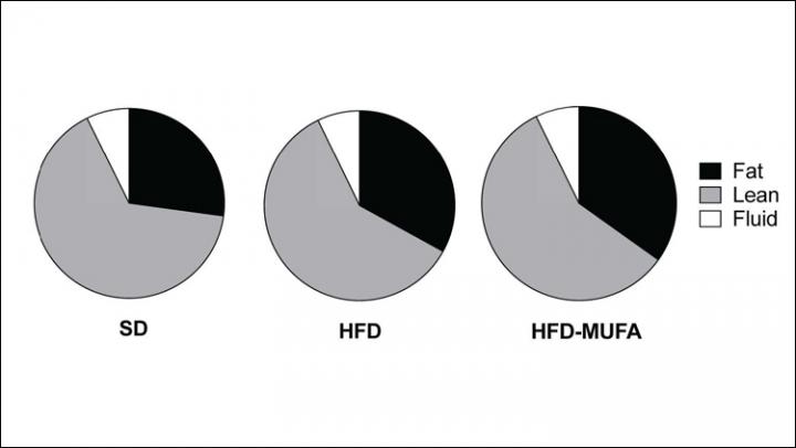 Terminal Body Composition