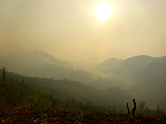 Smog from agricultural and forest fires