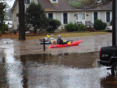 Flooded Street at the Mouth of Onancock Creek, Va.