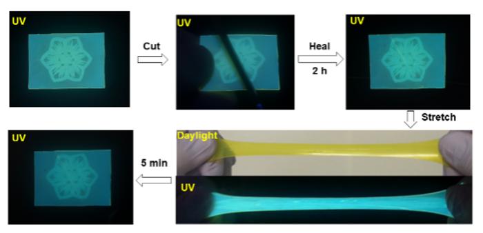 Tough and fluorescent self-healing material