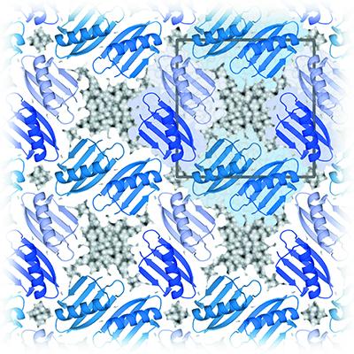 The Solvent Component of Macromolecular Crystals