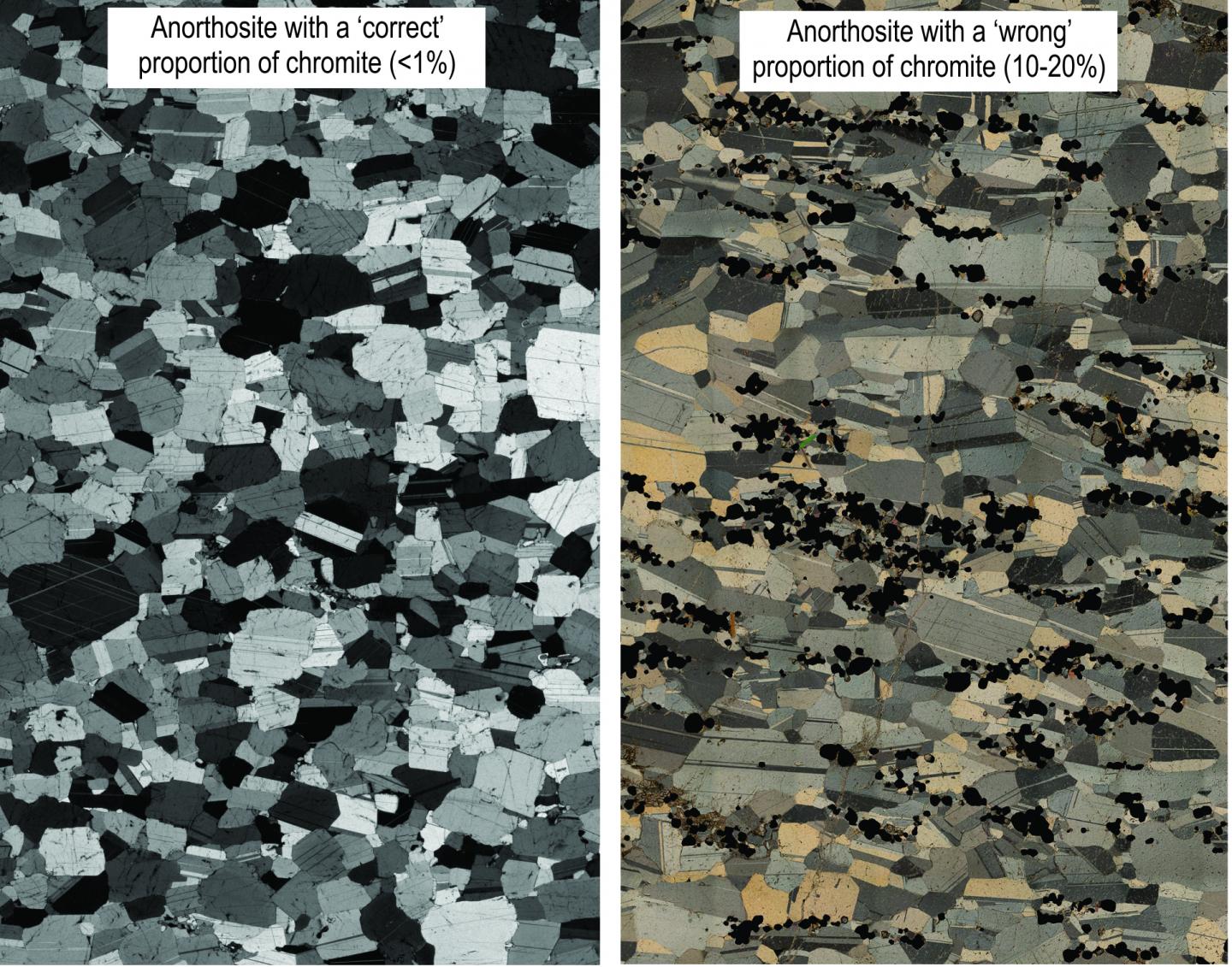 Photomicrographs