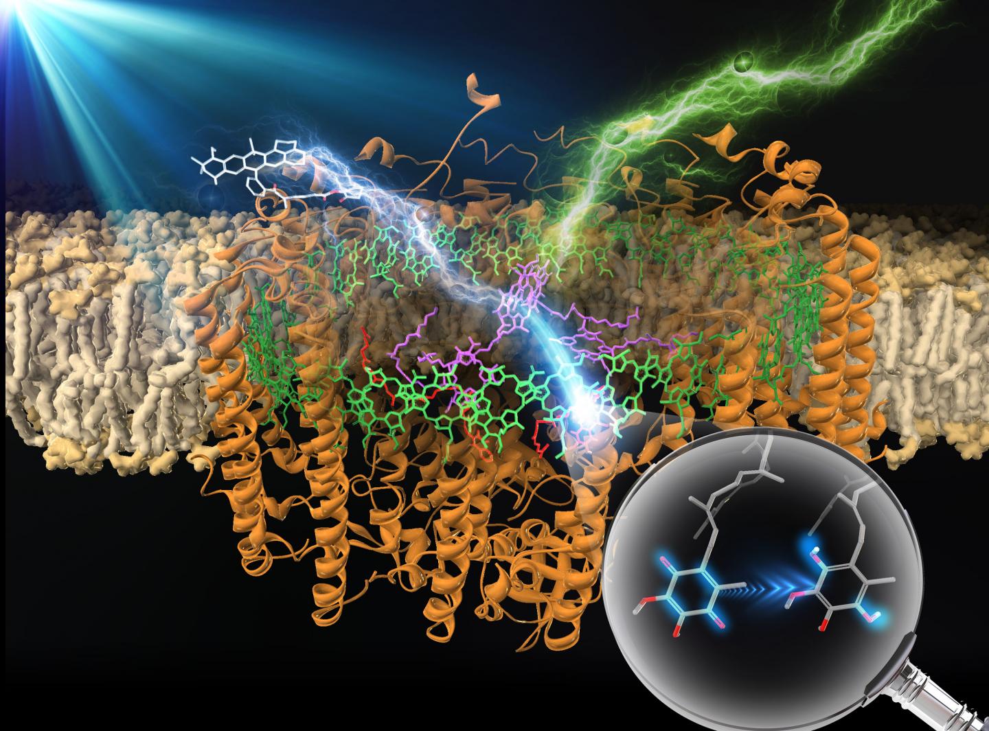 Artistic depiction of the enzyme