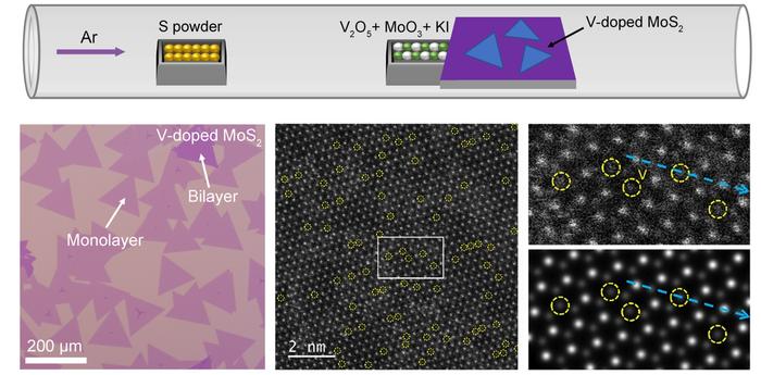 V-doped MoS2 monolayer is achieved through chemical vapor deposition method.