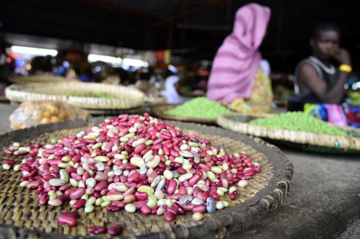 Climbing Beans Rwanda