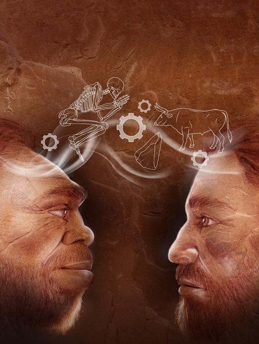 Illustration representing Homo sapiens and the Neanderthal sharing technology and behavior