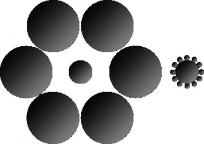 Ebbinghaus Illusion