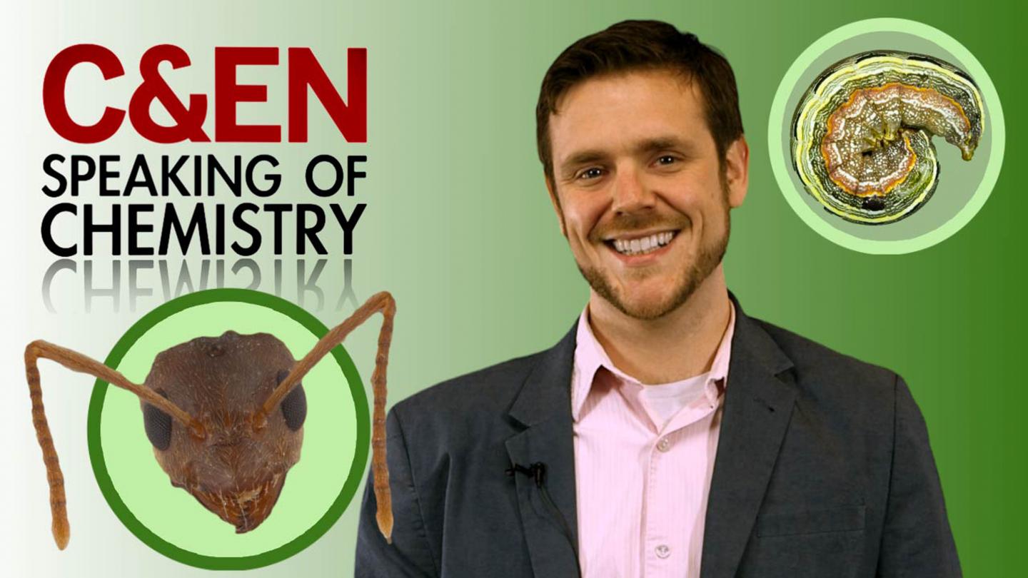 Critter Chemistry: Three Amazing Insect Scientists (Video)