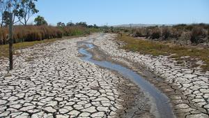 Finniss River