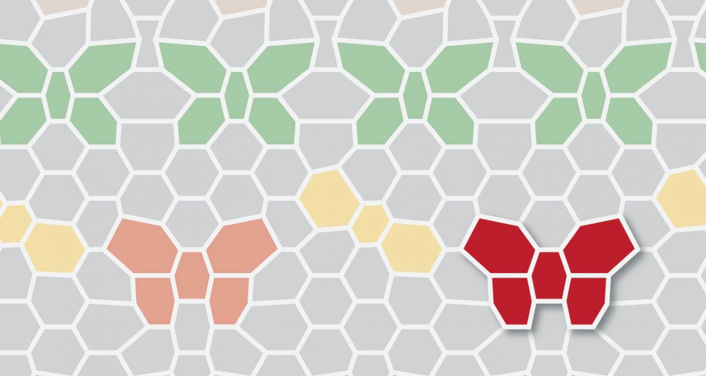 The Hofstadter Butterfly Phenomenon.