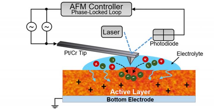 Electrochemical Strain Microscopy