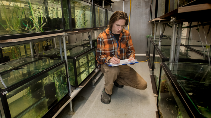 Zebrafish research opens doors on evolutionary biology