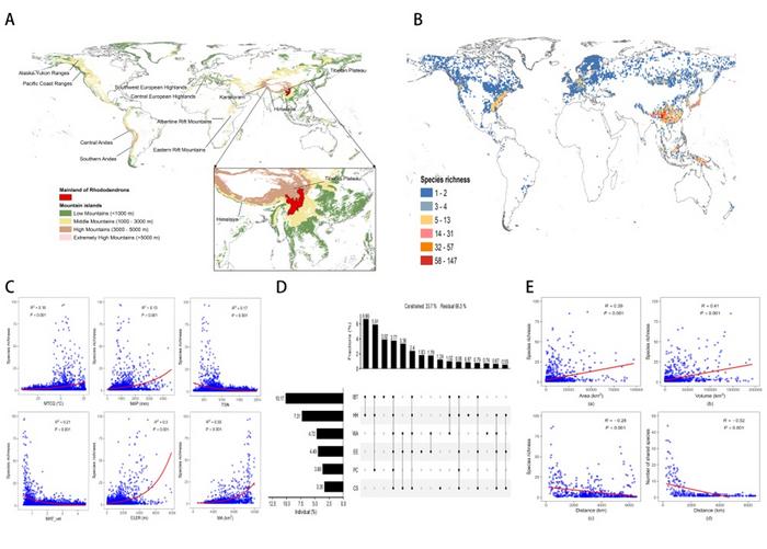 Global patterns of Rhododendro [IMAGE] | EurekAlert! Science News Releases