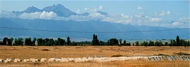 Capturing 40 years of climate change for an endangered Montana prairie