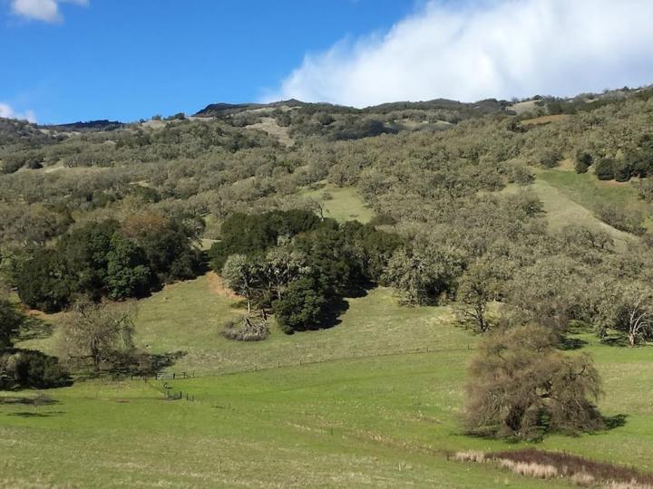 Rhizosphere Soil for Microbial Isolations