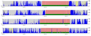 Tracking Sleep