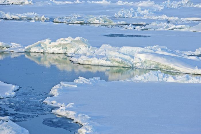 Ice floes in the Arctic.