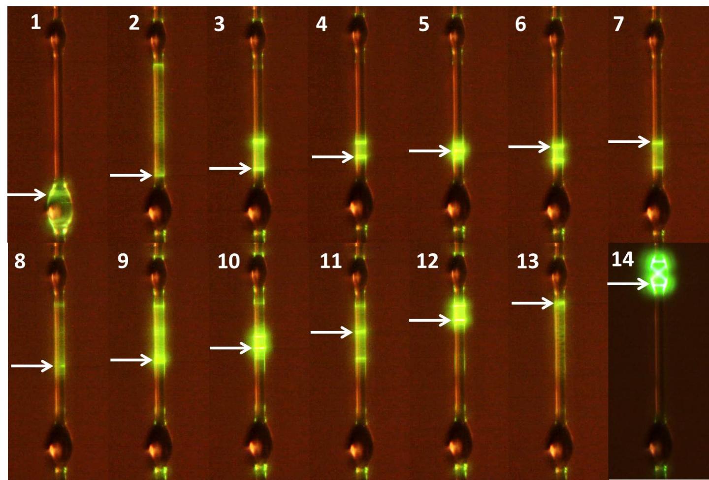 Microlasers in a Thin Coating