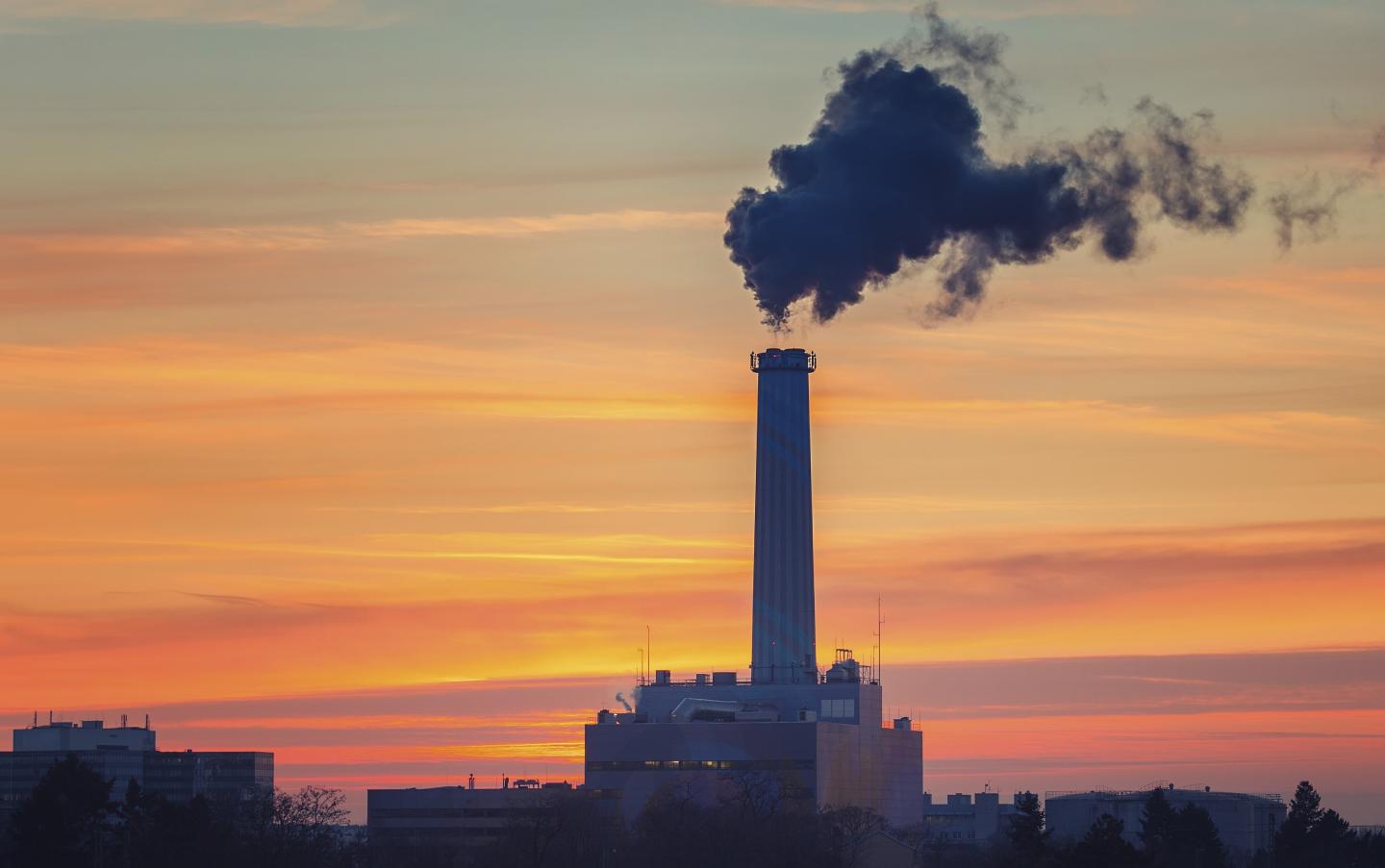 Long-Term Ozone Exposure and Lung and Cardiovascular Disease Deaths